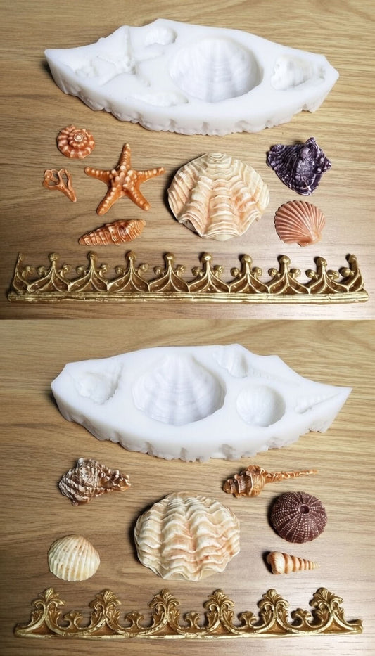 Two Shells Molds